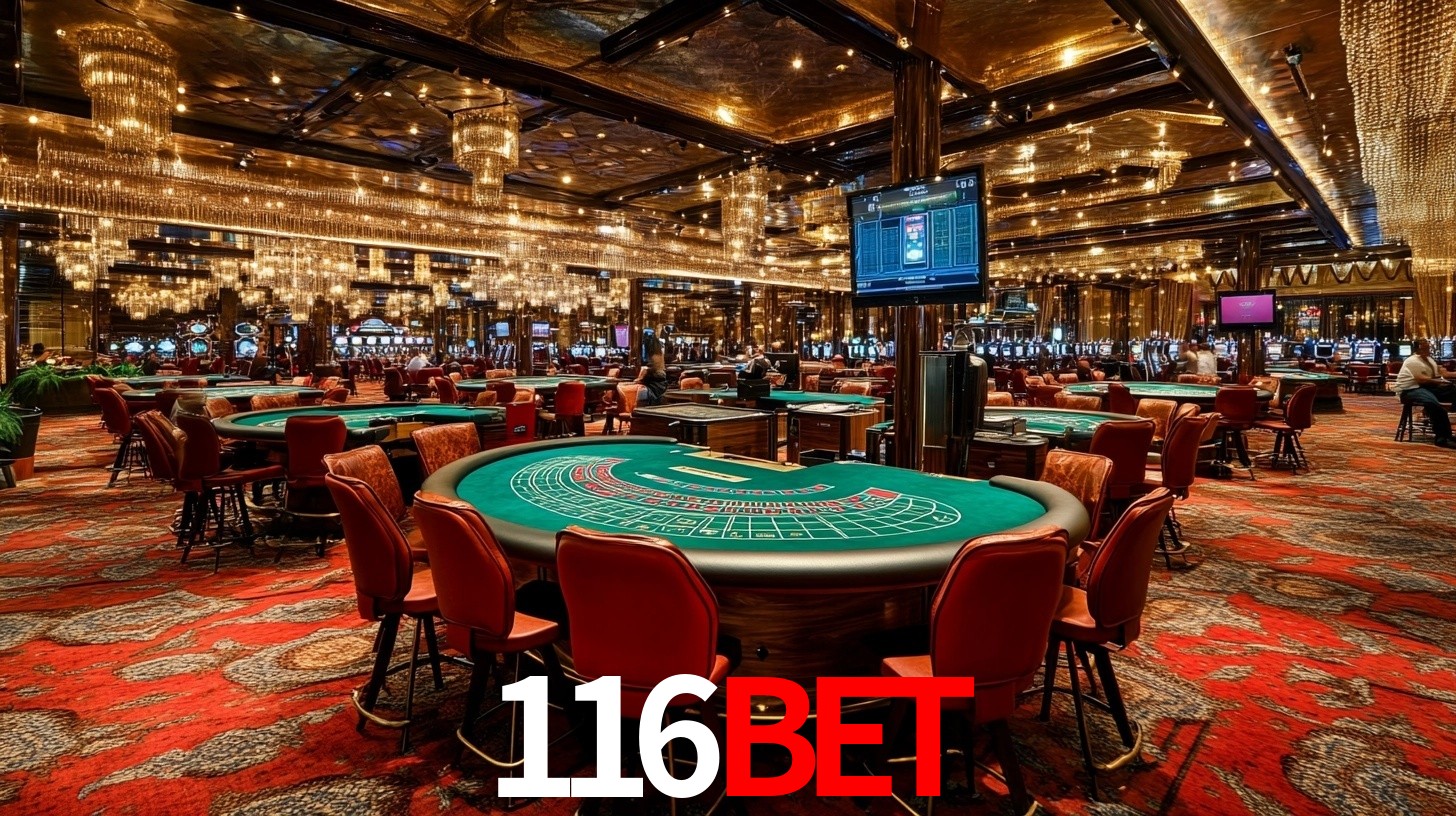 116bet app login
